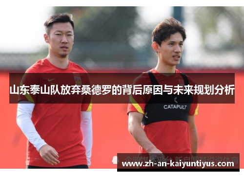 山东泰山队放弃桑德罗的背后原因与未来规划分析