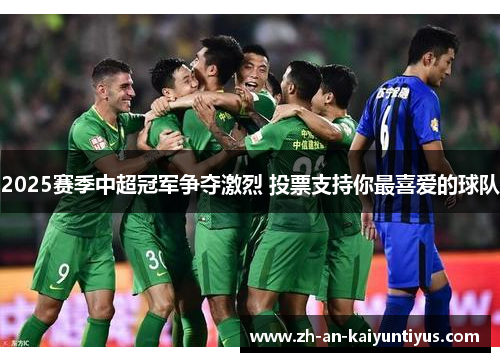 2025赛季中超冠军争夺激烈 投票支持你最喜爱的球队