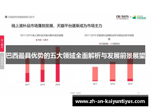 巴西最具优势的五大领域全面解析与发展前景展望