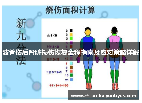波普伤后肾脏损伤恢复全程指南及应对策略详解