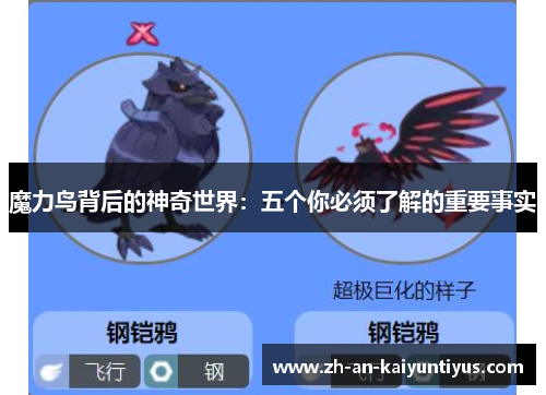魔力鸟背后的神奇世界：五个你必须了解的重要事实