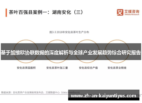 基于加维欧协联数据的深度解析与全球产业发展趋势综合研究报告