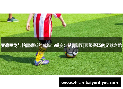 罗德里戈与帕雷德斯的成长与蜕变：从青训到顶级赛场的足球之路